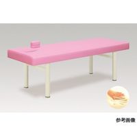 アズワン サイモン 幅60×長さ180×高さ65 ライトブルー 60-0888-38 1台（直送品）