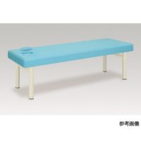 アズワン リニア 幅60×長さ170×高さ45 アイボリー 60-0899-05 1台（直送品）