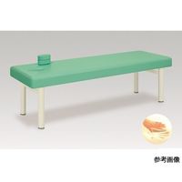 アズワン コステロ 幅60×長さ180×高さ40 レッド 60-0912-84 1台（直送品）