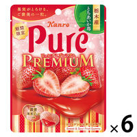 グミ 食べきりサイズ カンロ ピュレグミプレミアム栃木産とちあいか苺 54g 1セット（1個×6）