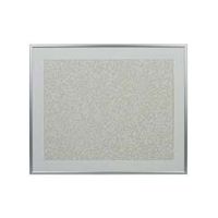 ケンコー・トキナー アルミ額縁 NEWパチット 全紙 シルバー NAPT-Z-SV 1個 60-3182-12（直送品）