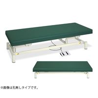 アズワン 低床電動ハイロー 幅60×長さ180×高さ30~68cm ピンク 63-4412-10 1個（直送品）