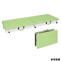 アズワン 付添ポータブル ライトブラウン 68-1071-84 1個（直送品）