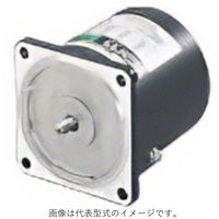 オリエンタルモーター ワールドKシリーズ レバーシブルモーター(15W) 3RK15GN-CW2J 1台（直送品）