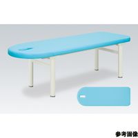 アズワン スマイル 幅65×長さ170×高さ70cm ライトブルー 60-1864-22 1個（直送品）