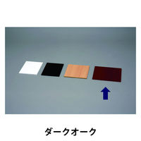 アイリスオーヤマ カラー化粧棚板スリム ダークオーク LBC-625S（直送品）