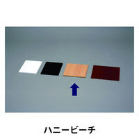 アイリスオーヤマ カラー化粧棚板スリム ハニービーチ LBC-625S（直送品）