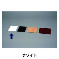 アイリスオーヤマ カラー化粧棚板スリム ホワイト LBC-630S（直送品）