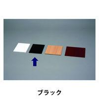 アイリスオーヤマ カラー化粧棚板スリム ブラック LBC-925S（直送品）