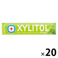 【アウトレット】ロッテ キシリトールガム ＜マスカット＞ 1セット（14粒×20個）