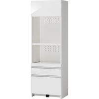 フジイ RSP-H-60-47-W（直送品）