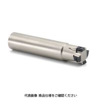 Seco Tools フライス スクエア4 R217.94-2525.3-08-4A 1個（直送品）