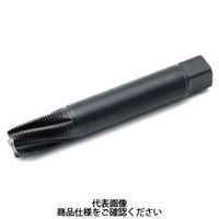 Seco Tools スレッドマスターヘリックスタップ MTH-3/4-14NPT-XC-V048（直送品）