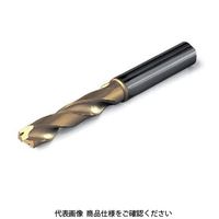 Seco Tools ドリル 超硬ソリッド SD203A-12.25-36-14R1-M（直送品）