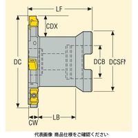 セコ・ツールズ・ジャパン フライス サイドカッタ335.18 R335.18ー125.10.32ー6N 1個（直送品）