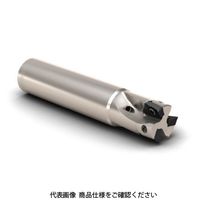 セコ・ツールズ・ジャパン フライス ターボカッタ R217.69ー1010.0ー06ー2N 1個（直送品）