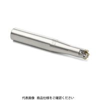 セコ・ツールズ・ジャパン フライス 金型用 R217.29ー1612.0ー03.2.050 1個（直送品）