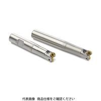 セコ・ツールズ・ジャパン フライス 金型用 R217.29ー1616.0ー04.2.050 1個（直送品）