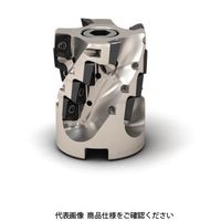 セコ・ツールズ・ジャパン フライス 金型用 R217.69ー1632.REー022ー12.3AN 1個（直送品）
