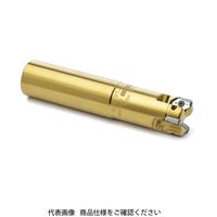 セコ・ツールズ・ジャパン フライス 金型用 R217.97ー2525.0ーX12.2A 1個（直送品）