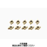 セコ・ツールズ・ジャパン 旋削 溝入れ用チップ 10FGCP500 1個（直送品）