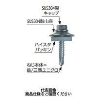 若井産業 ダンバ ステンキャップ山座セット ハイスタパッキン 座金外径 25mm 6945CYH 1セット(600本)（直送品）