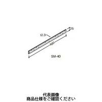 若井産業 ひら金物 釘付き 2TSM400 1セット(50枚)（直送品）