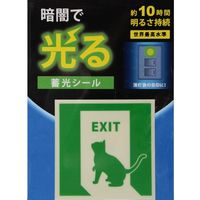 ԉ ~V[ iUWE˂j W^Cv -FLASH̗p 50×50mm AF2004*iij