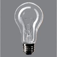 パナソニック 街灯用電球 E26口金 60ミリ径 60形 クリア G60WD（直送品）