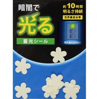 花岡 蓄光シール （ペタル） マーキングタイプ α-FLASH採用 12×12mm 10枚入 AF4016*（直送品）