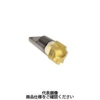 Seco Tools フライス ミニマスター用チップ MM12-12010-CR10-MD05 MM12-12010-CR10-MD05T60M（直送品）