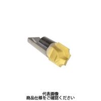 Seco Tools フライス ミニマスター用チップ MM12-12010-CR20-MD05 MM12-12010-CR20-MD05T60M（直送品）