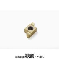 セコ・ツールズ・ジャパン 溝入れ用チップ 14ER1.6ST:CP500 14ER1.6STCP500 1セット(2個)（直送品）