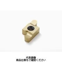 セコ・ツールズ・ジャパン 溝入れ用チップ 14ER2.0R:CP500 14ER2.0RCP500 1セット(2個)（直送品）