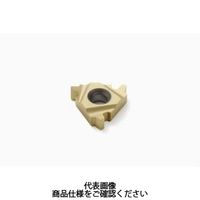 セコ・ツールズ・ジャパン 溝入れ用チップ 14NR2.4DY:CP500 14NR2.4DYCP500 1セット(2個)（直送品）