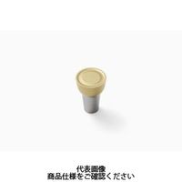 セコ・ツールズ・ジャパン 溝入れ用チップ RCGS4.76ー46:TS2000 RCGS4.76-46TS2000 1セット(10個)（直送品）