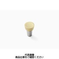 セコ・ツールズ・ジャパン 溝入れ用チップ RCGS6.35ーPS:CP200 RCGS6.35-PSCP200 1セット(10個)（直送品）