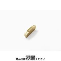 セコ・ツールズ・ジャパン 旋削 MDT用チップ LCGF