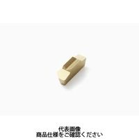 セコ・ツールズ・ジャパン 旋削 MDT用チップ LCGN160306ー0100LーD76CP500 1セット(10個)（直送品）