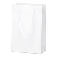 ササガワ 手提げ紙袋 マット白 S18 50-6220 1セット：10枚【1枚バーコード付×10枚袋入】（取寄品）