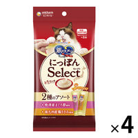 銀のスプーン 2種のアソート とろリッチまぐろ＆鶏ささみ入り 国産 48g（6g×8本入）4袋 猫用 おやつ