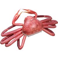 ワヨー エアPOPバルーン カニ 22275（直送品）