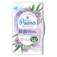 ウェットティシュー 本体 42枚入 エリエール ピュアナ（Puana）除菌99.99% 大王製紙