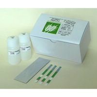 プリマハム グルテンアイ 10回用 089552 1箱(10枚) 63-1266-60（直送品）