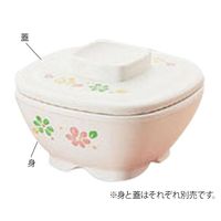 MZwH ۉH  ۉ g 580 1 7-6080-04iij