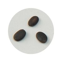 アーテック 野菜の種 ヘチマ 2736 1箱 61-6011-02（直送品）