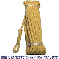 クレポリトラックロープ 約12mm×10m TR 920KP 1セット（5本） まつうら工業（直送品）