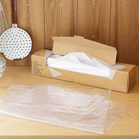 【アウトレット】ポリ袋 食品保存袋 LL （マチ無し・冷凍・冷蔵対応）ツルツルタイプ 透明 1箱（100枚入）ロハコ（LOHACO）  オリジナル