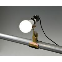 YAMAZEN LED一体型クリップライト 電球色 YCLW-8L（直送品）