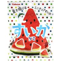 カバヤ すいかグミ 50g×10 5718429 1ケース（10入） カバヤ食品（直送品）
